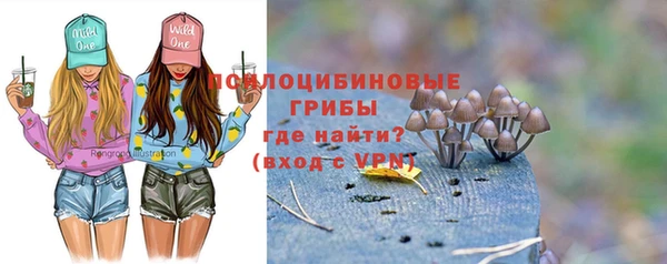 гашик Нефтекумск