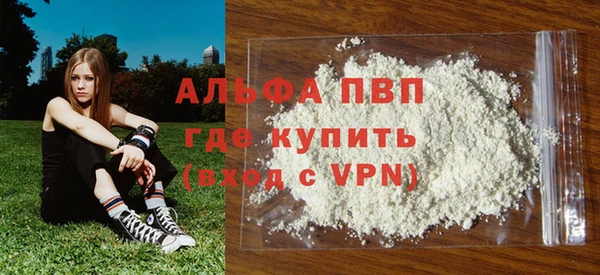 гашик Нефтекумск