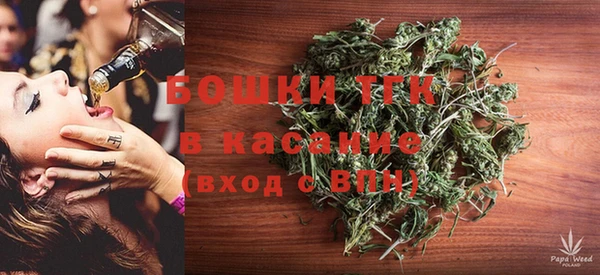 соль ск Нея