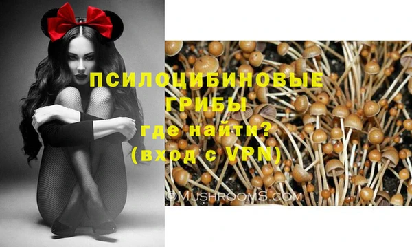 мяу мяу мука Новозыбков