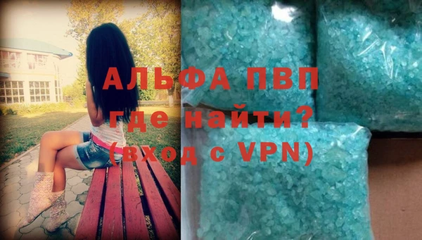 гашик Нефтекумск