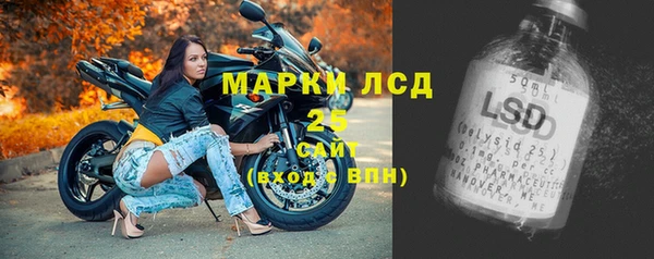 гашик Нефтекумск