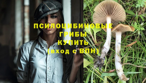 кокс Новокубанск