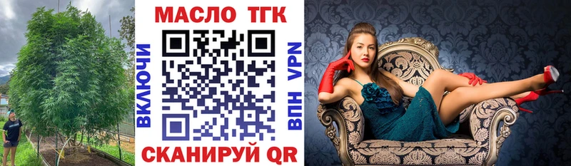 цена наркотик  Нижняя Тура  ТГК гашишное масло 